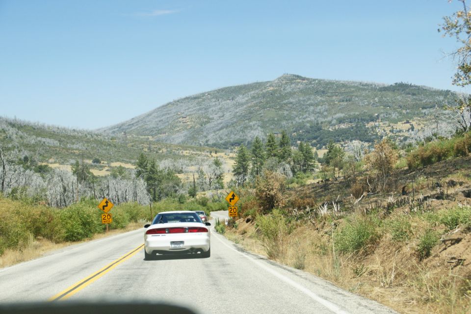 1995 Ford Taurus rear view on a road with a speed limit sign