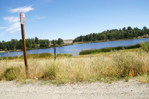 1995 Ford Taurus - A scenic view of a lake bordered by trees, with a 'no parking' sign visible in the foreground.