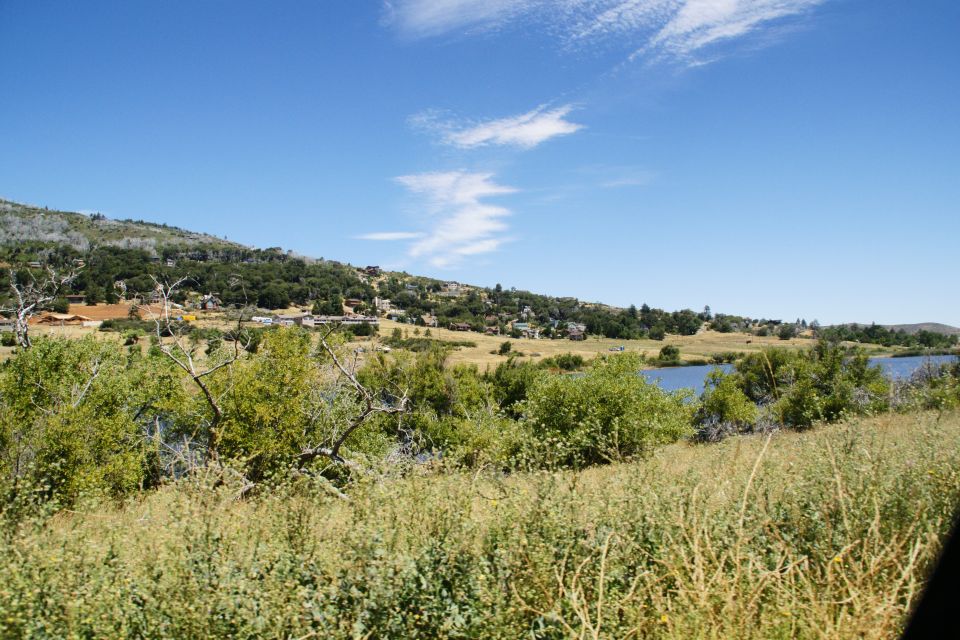 Overgrown grassy field with dry brush in the foreground, leading to a lake and a tree-covered hillside with scattered houses under a blue sky with wispy clouds