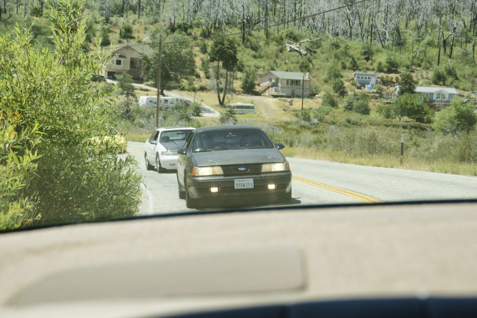 1995 Ford Taurus front view, license plate visible