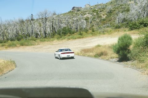 1995 Ford Taurus - A white coupe is seen from behind on a winding road with a dry, hilly landscape.