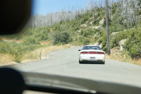 1995 Ford Taurus - A white 1995 Ford Taurus drives away on a rural road with dry, burnt trees in the background.