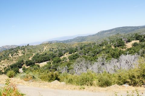 1995 Ford Taurus - A scenic view of a hilly landscape with vegetation and a road, under a bright sky.
