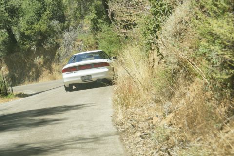 1995 Ford Taurus - A white 1995 Ford Taurus sedan is seen from the rear on a winding road surrounded by dry vegetation.