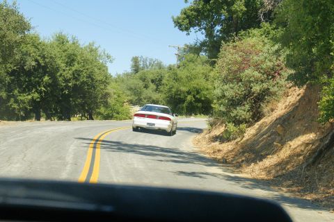 1995 Ford Taurus - A white sedan navigates a sharp curve on a rural road, surrounded by lush green trees and a dry, rocky embankment.
