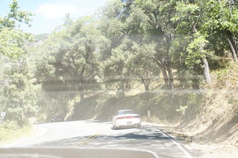 1995 Ford Taurus - A white sedan drives down a tree-lined road on a sunny day.