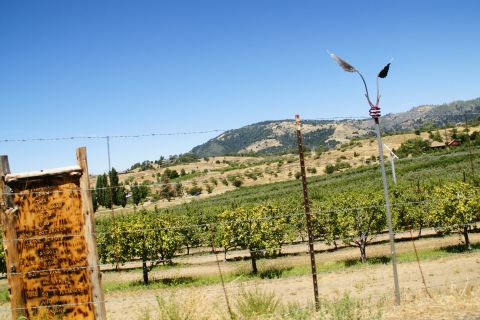 1995 Ford Taurus - A weathered wooden sign stands by a fence in a rural landscape, with orchards and hills stretching towards the horizon.