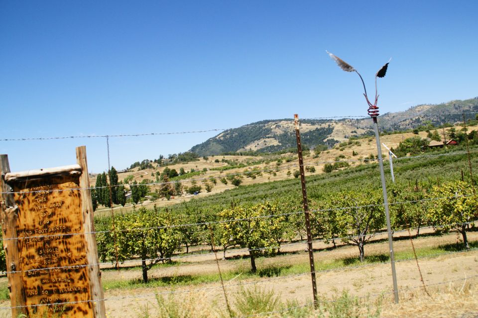 Wooden sign with text on a fence post in front of an orchard and rolling hills under a clear blue sky