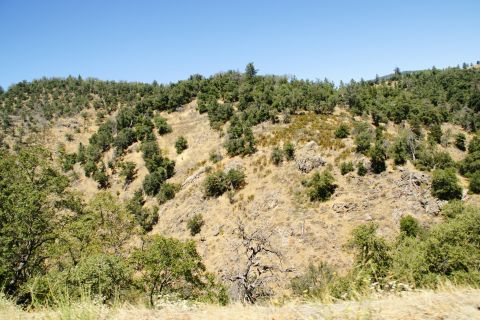 1995 Ford Taurus - A dry hillside with scattered trees and rocky outcrops under a bright blue sky.