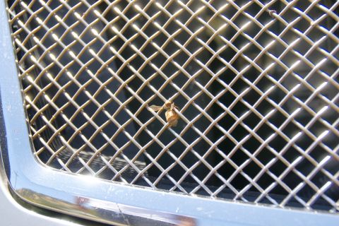 1995 Ford Taurus - A dead insect is visible on the mesh of a vehicle's front grille, which has chrome trim.