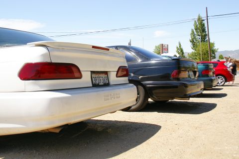 1995 Ford Taurus - A line of cars parked outdoors, with the rear of a white 1995 Ford Taurus prominently featured in the foreground.