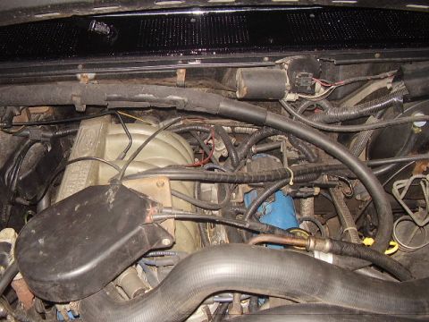 1988 Ford Bronco - Close-up view of the engine bay, showing various hoses, wiring, and the intake manifold.