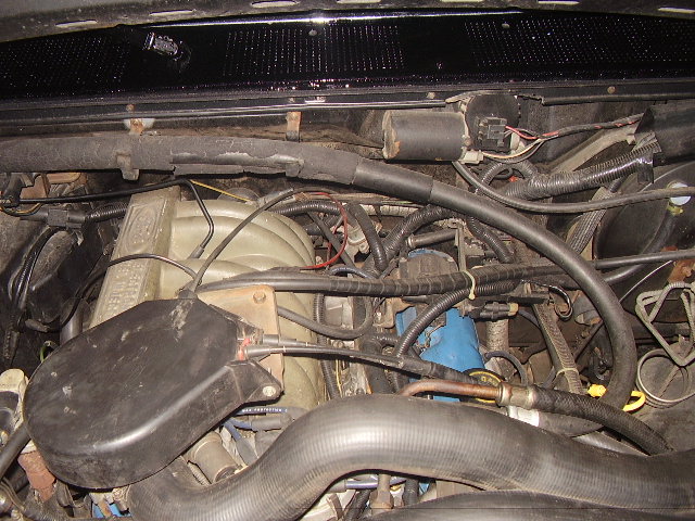 Engine bay with intake manifold and hoses