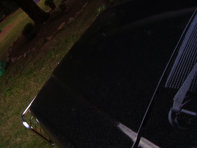 1988 Ford Bronco hood and grille