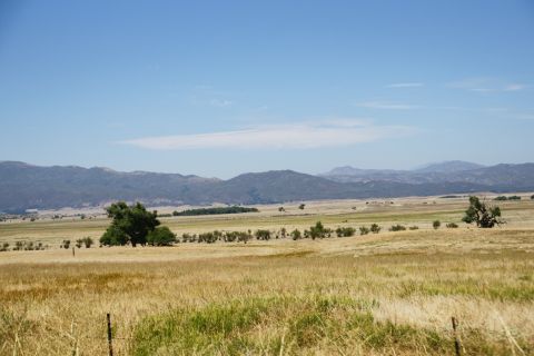 1995 Ford Taurus - A vast, sun-drenched landscape stretches towards distant mountains, with dry grass and sparse trees dotting the terrain.
