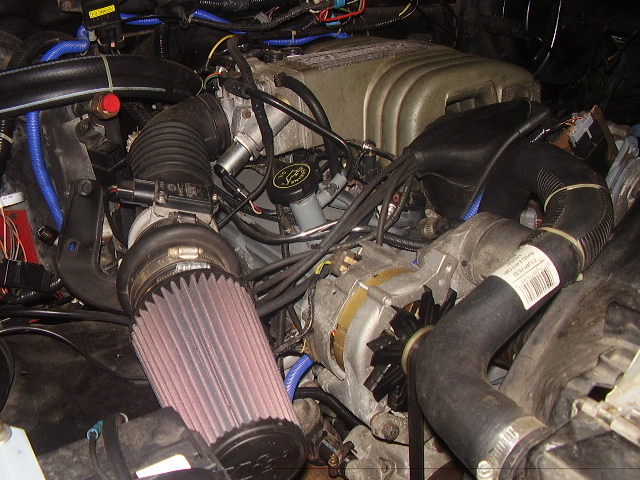 Engine bay with aftermarket air filter, alternator, and intake manifold