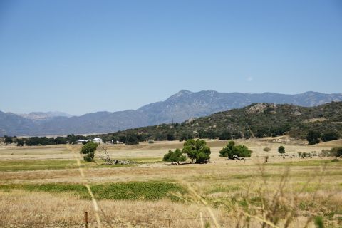 1995 Ford Taurus - A wide view of a dry, grassy field with trees and mountains in the background on a sunny day.