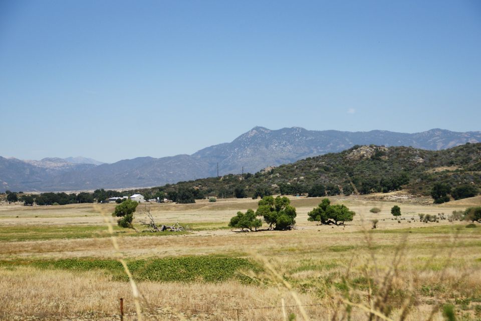 Rural landscape with dry grass fields, scattered trees, and distant mountains under a clear blue sky