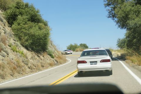 1995 Ford Taurus - Two white sedans travel on a two-lane road winding through a hilly, tree-lined landscape under a clear blue sky.
