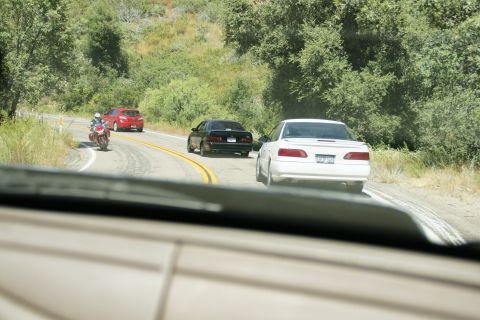 1995 Ford Taurus - Multiple vehicles travel on a scenic, winding road surrounded by trees.
