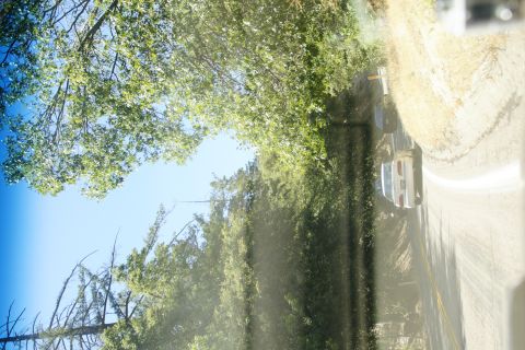 1995 Ford Taurus - A silver sedan drives down a tree-lined road under a bright blue sky.
