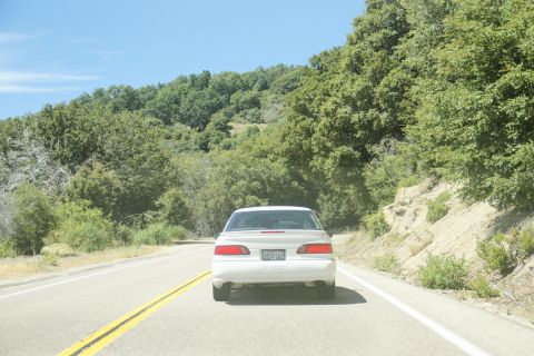 1995 Ford Taurus - A white sedan travels down a winding road surrounded by lush green trees under a clear blue sky.