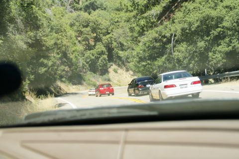 1995 Ford Taurus - A line of cars travels along a scenic, tree-lined highway.