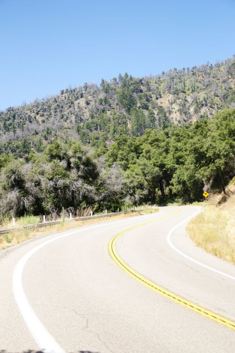 1995 Ford Taurus - A scenic view of a winding road through a mountainous, tree-covered landscape.