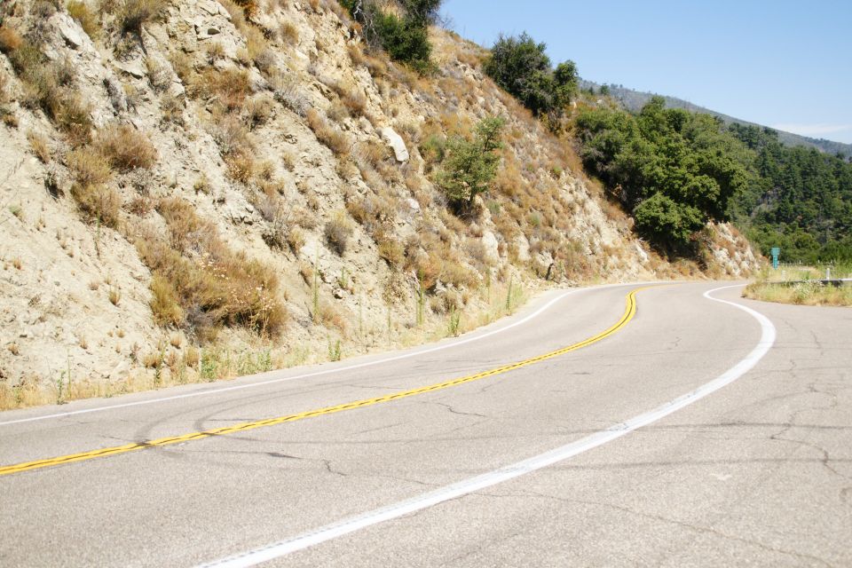Winding mountain road with dry brush on the left and trees on the right
