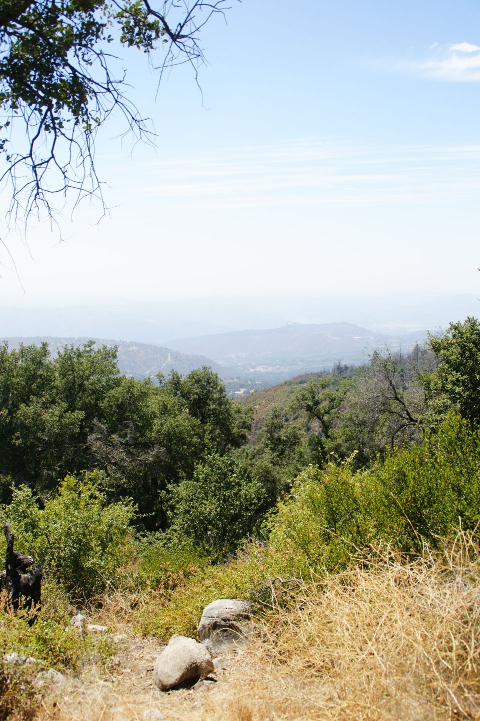 View of hazy mountains and valleys from a wooded hillside with dry grass and rocks in the foreground