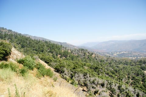 1995 Ford Taurus - A vast expanse of rolling hills covered in trees stretches towards distant hazy mountains.