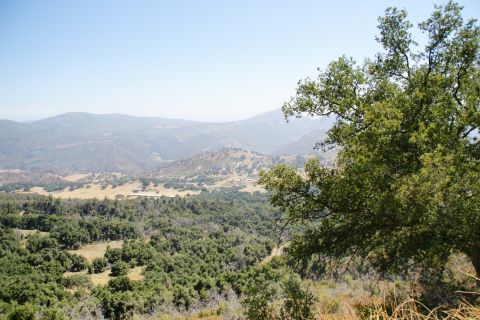 1995 Ford Taurus - A wide view of rolling hills and valleys under a clear sky, with trees partially obscuring the vista.