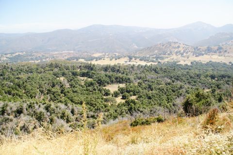 1995 Ford Taurus - A panoramic view of a valley filled with trees and rolling hills under a hazy sky.