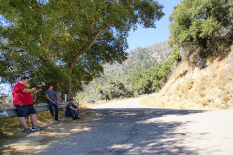1995 Ford Taurus - Three men take a break by the side of a road, shaded by a large tree, with a mountainous landscape in the background.