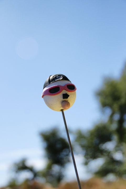 1995 Ford Taurus - A whimsical bobblehead figure with a black cap and pink goggles is viewed against a bright blue sky.