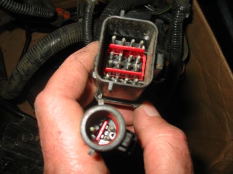 1992 Ford Bronco - Close-up of a vehicle's wiring harness connector, showing the internal pins and red plastic housing.
