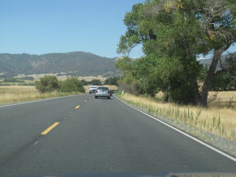 1990 Ford Probe “Anomaly”