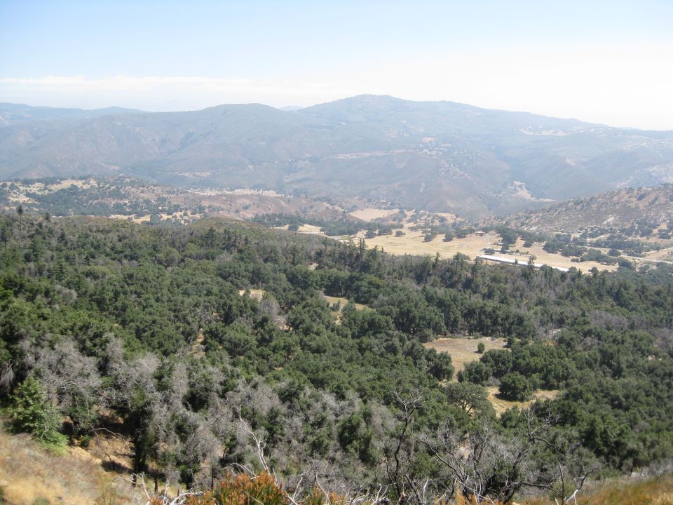Mountain landscape with trees and dry grass, clear sky, and a distant valley