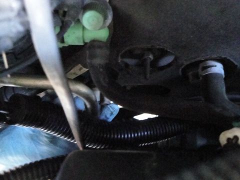 2003 Ford Taurus - Engine bay components including hoses and a green connector are visible in this close-up shot.