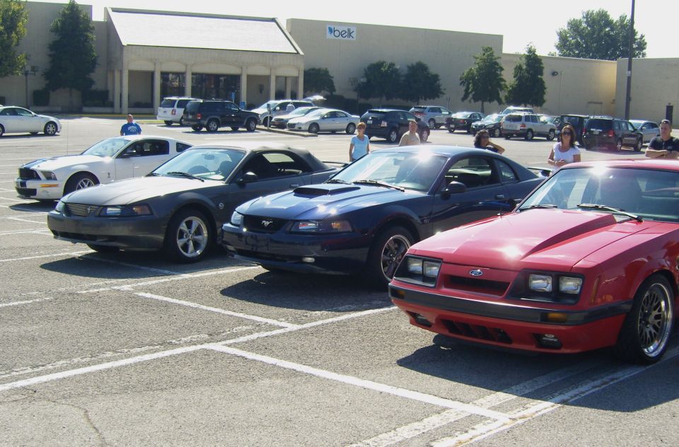 Red fox body Mustang front view