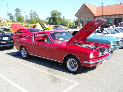 2007 Ford Mustang - A classic red Mustang is displayed with its hood open at an outdoor car show.