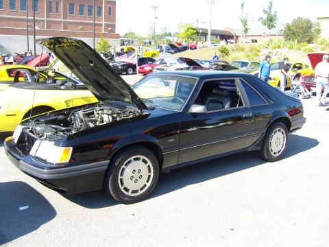 2007 Ford Mustang - A black 1987 Ford Mustang coupe is displayed with its hood open at a car show, with other vehicles visible in the background.