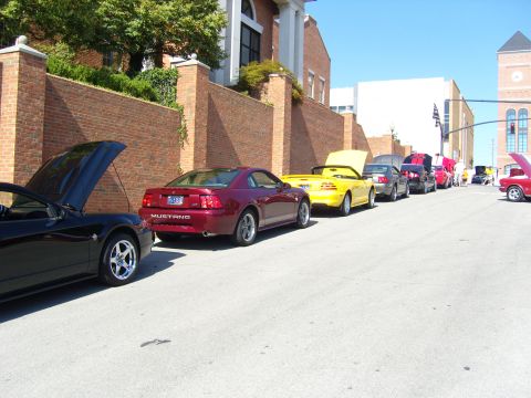 2007 Ford Mustang - A line of Ford Mustangs are parked on a street, with some hoods open, suggesting a car show or gathering.