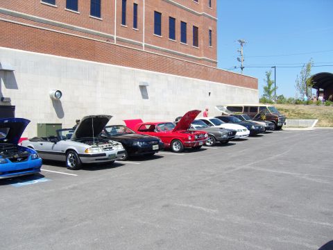 2007 Ford Mustang - A collection of Ford Mustangs are parked in a line outside a brick building on a sunny day.