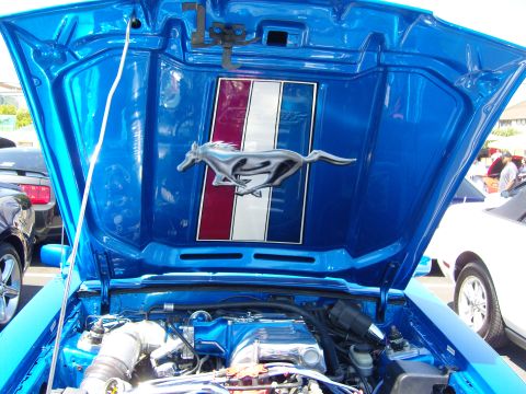 2007 Ford Mustang - The hood of a blue 1987 Ford Mustang is open, revealing the engine and a classic running horse emblem.