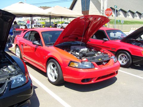 2007 Ford Mustang - Multiple red Mustangs are displayed with their hoods open at an outdoor car show.
