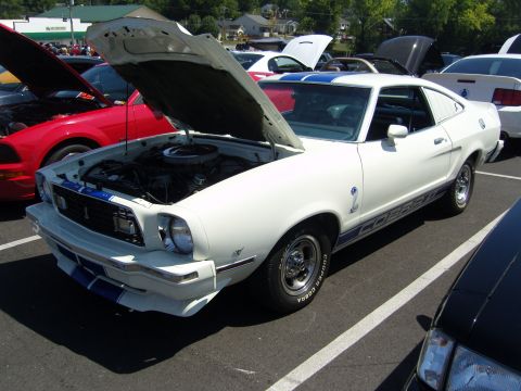 2007 Ford Mustang - A white 1977 Ford Mustang Cobra with blue racing stripes and its hood open is parked at a car show.
