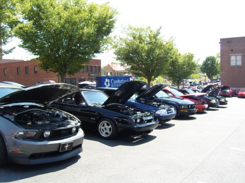 2007 Ford Mustang - Several Ford Mustangs are parked in a line with their hoods open at an outdoor car show.