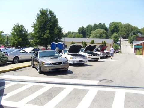 2007 Ford Mustang - Several Ford Mustangs are lined up with their hoods open at an outdoor car show.