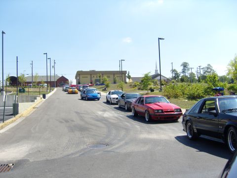 2007 Ford Mustang - A collection of Ford Mustangs are lined up on a paved road under a clear blue sky.